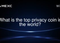 What is the top privacy coin in the world? What is the top privacy coin in the world?