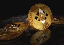 Memecoin Wave on BNB Chain Explodes- These Are The Websites That Help You Spot Potential Memecoins Memecoin Wave on BNB Chain Explodes- These Are The Websites That Help You Spot Potential Memecoins