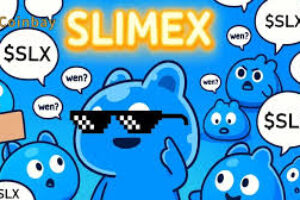 SLIMEX ($SLX): Connecting Web2 Gaming and Web3 Ownership