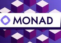 Monad’s $12-15B FDV: Can the “Ethereum Killer” Justify Its Valuation at Launch?