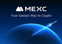 Daily Routine for MEXC Traders: Step by Step to Get Full Market Information Daily Routine for MEXC Traders: Step by Step to Get Full Market Information
