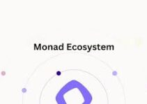 Top Projects Building on Monad Ecosystem Top Projects Building on Monad Ecosystem