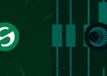 Plasma vs Stable: Blockchain Stablecoin Mana yang Akan Mendominasi Pembayaran USDT? Plasma vs Stable: Blockchain Stablecoin Mana yang Akan Mendominasi Pembayaran USDT?