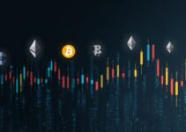 Top 3 Crypto Exchanges for Beginners (2025 –  2026 Guide)