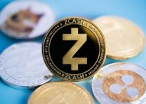 Zcash Surges 45% in One Week: Why Privacy Coins Are Back and What November’s Halving Means