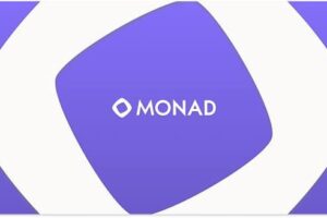 The “Parallel EVM” Revolution: A Deep Dive on Crypto’s Most Anticipated L1