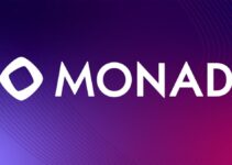 Monad Public Chain Deep Dive: MON Token, EVM Compatibility and High-Performance Design