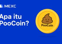 Apa Itu PooCoin (POOCOIN)? Token Unik yang Redefinisi Alat Analisis di Dunia DeFi