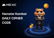 Today’s Hamster Kombat Daily Cipher Code for November 13, 2025 Today’s Hamster Kombat Daily Cipher Code for November 13, 2025