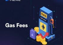 Gas Fees Explained: Why Your $10 Transaction Cost $50