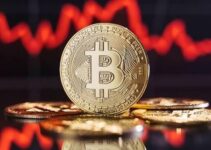 Uptober’s Broken Promise: What November Holds for Bitcoin Uptober’s Broken Promise: What November Holds for Bitcoin