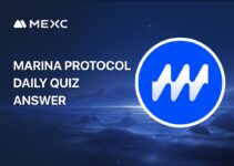 Marina Protocol Today Answer for November 17, 2025
