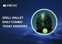 Spell Wallet Daily Combo Today Answers – November 13, 2025