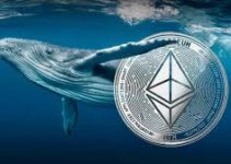 ETH Whales Buy $1.37B in 3 Days: Why Smart Money Accumulates Despite a 10% Drop