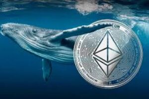 ETH Whales Buy $1.37B in 3 Days: Why Smart Money Accumulates Despite a 10% Drop