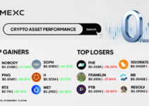 Top Gainers & Top Losers Kripto di MEXC (20 Desember 2025)