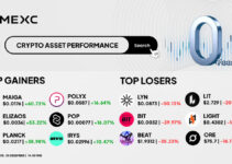 Top Gainers & Top Losers Kripto di MEXC (30 Desember 2025)