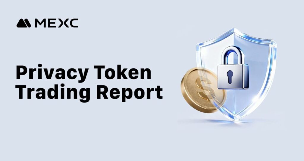 Privacy Token Report