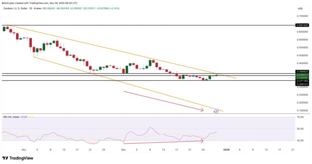 Phân kỳ tăng giá giữa Giá ADA và chỉ báo RSI