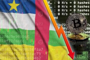 Central African Republic’s Opaque Crypto Projects Endanger National Wealth