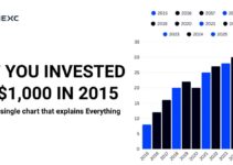 IF YOU INVESTED $1,000 IN 2015: A SINGLE CHART THAT EXPLAINS EVERYTHING