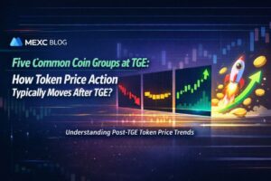 Five Common Coin Groups at TGE: How Token Price Action Typically Moves After TGE?