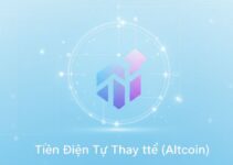 Hướng Dẫn Toàn Diện về Mùa Altcoin: Phân Tích Chu Kỳ Thị Trường Thiết Yếu cho Nhà Đầu Tư Tiền Điện Tử năm 2026