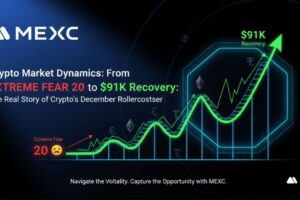 Crypto Market Dynamics: From Extreme Fear 20 to $91K Recovery: The Real Story of Crypto’s December Rollercoaster