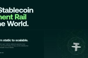 Stable: The First Stablechain Powered by USDT, Will It Follow the Same Path as Plasma?