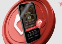 SUBBD: A Web3 Creator Economy Project and Token Explained SUBBD: A Web3 Creator Economy Project and Token Explained