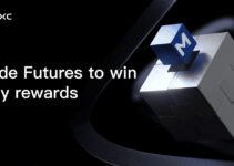 M-Dayとは？仕組み・参加方法を徹底解説【日本限定イベントあり】