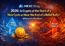 Is Crypto at the Start of a New Cycle or Near the End of a Relief Rally? Where Are We Now?