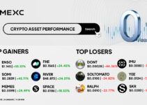 Top Gainers & Top Losers Kripto di MEXC (24 Januari 2026) Top Gainers & Top Losers Kripto di MEXC (24 Januari 2026)