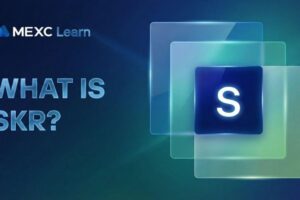 What Is SKR (Seeker)? The Complete Guide to Solana Mobile’s Revolutionary Token Launch