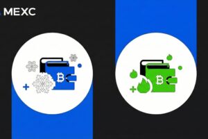 Hot Wallet vs Cold Wallet: Key Differences & Which to Use (2026 Guide)