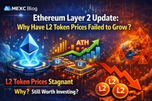Ethereum Layer 2 Update Why Have L2 Token Prices Failed to Grow
