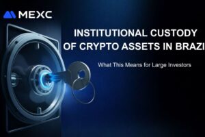 Institutional Custody of Crypto Assets in Brazil: What This Means for Large Investors