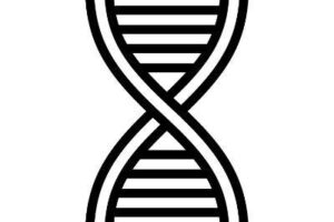 DNA Protocol Explained: How XRPL’s Genomic Blockchain Aims to Solve Healthcare Data Ownership (2026 Guide)