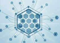 Can Your Blockchain Transactions Be Traced? The Truth About Crypto Privacy Can Your Blockchain Transactions Be Traced? The Truth About Crypto Privacy