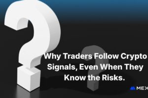 Why Traders Follow Crypto Signals, Even When They Know the Risks
