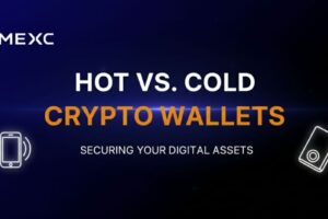 Hot vs Cold Wallets: The Essential Guide to Crypto Storage