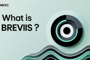 How Brevis (BREV) is Solving the Blockchain Data Paradox