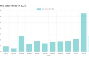 The Truth Behind Hundreds of Millions of Dollars Raised by Crypto Projects