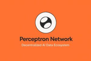 $PERC Token Airdrop Tutorial: Complete Guide to Claiming Perceptron Network Rewards in 2026