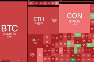 What Should We Do When the Crypto Market Crashes?