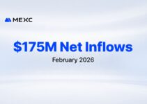 MEXC Records $175M Net Inflows in February, Ranking 4th Among Global CEXs