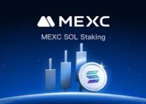 SOL Staking in 2026: Exchange vs On-Chain — Where to Earn the Highest APY Safely