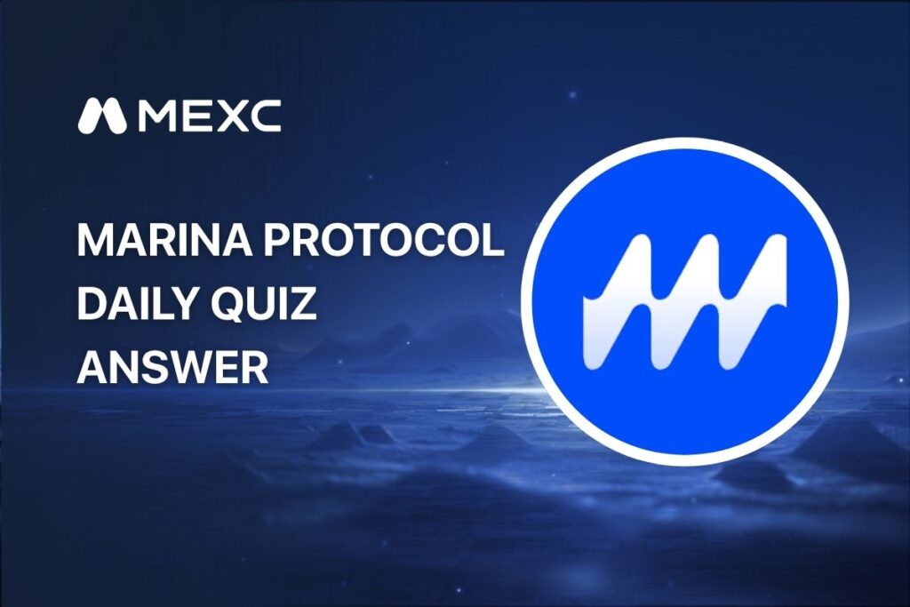 Marina Protocol Today Answer